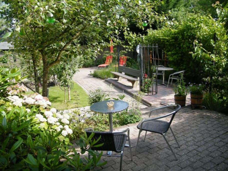 Studio Bed & Strand Scharendijke Exterior foto